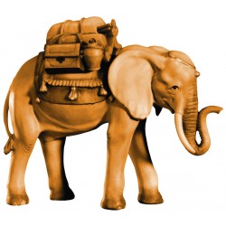 Elefante con Sella