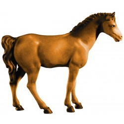 Cavallo Bruno