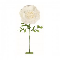 Rosa bianca lattice con stelo