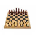 Gioco degli scacchi