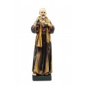 S. Padre Pio di Pietrelcina