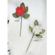 Rosa in lattice profumato con foglie. Diam. rosa CM 5 H 21 tot